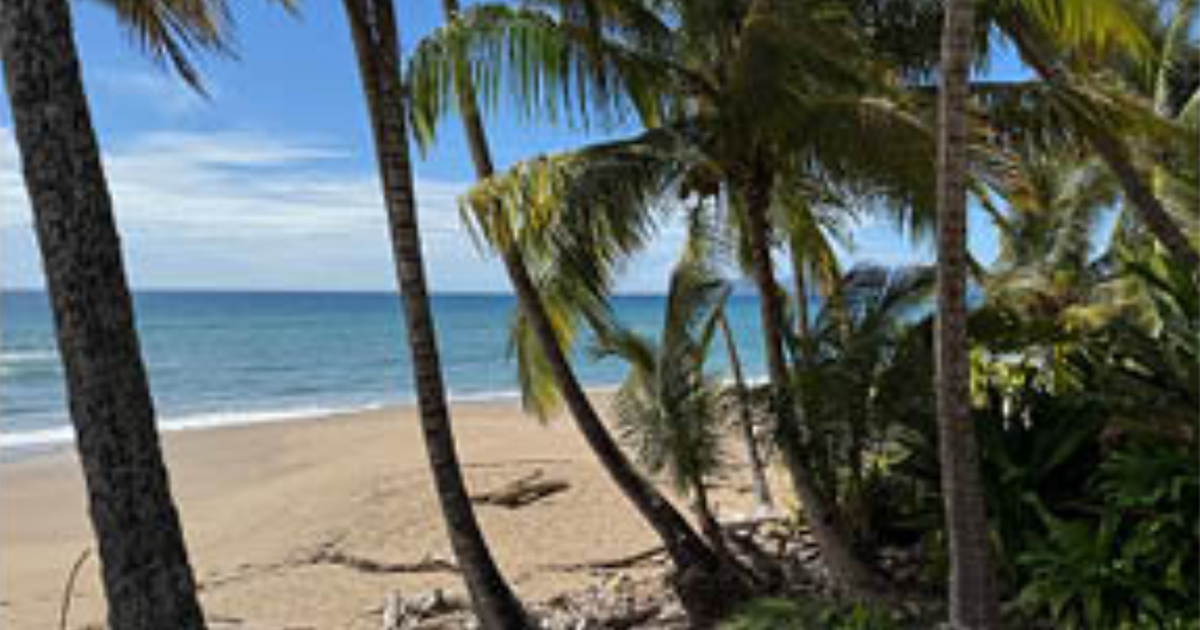 Tropical Tranquility